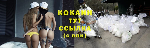 не бодяженный Бородино