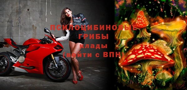 не бодяженный Бородино