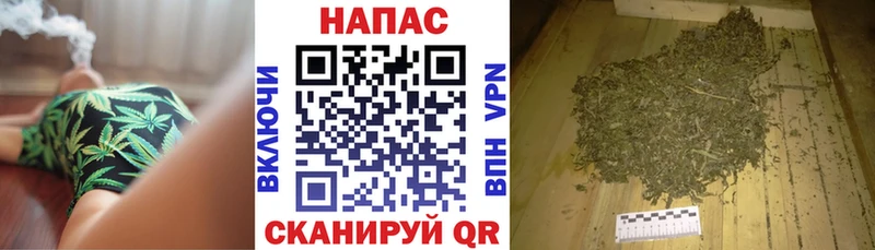 продажа наркотиков  Палласовка  Канабис SATIVA & INDICA 